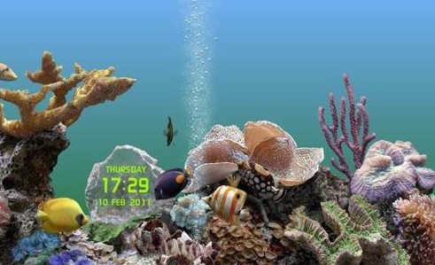 热带鱼水族箱屏幕保护程序,海洋水族馆屏幕保护程序