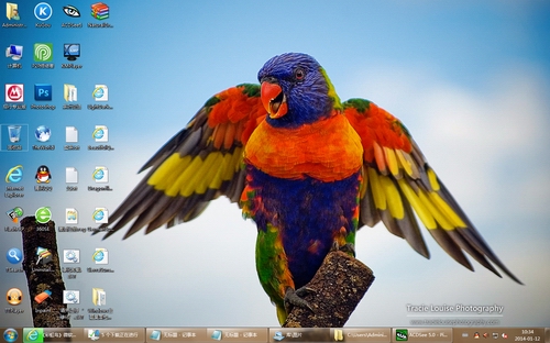 Windows主题桌面包微软官方绿色版 - 彩虹鸟