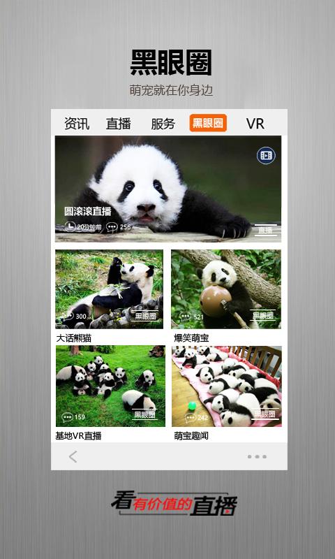 金熊猫直播app