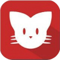 猫咪app v1.0（视频播放器）